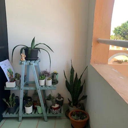 Appartement Estudio Roquetas *